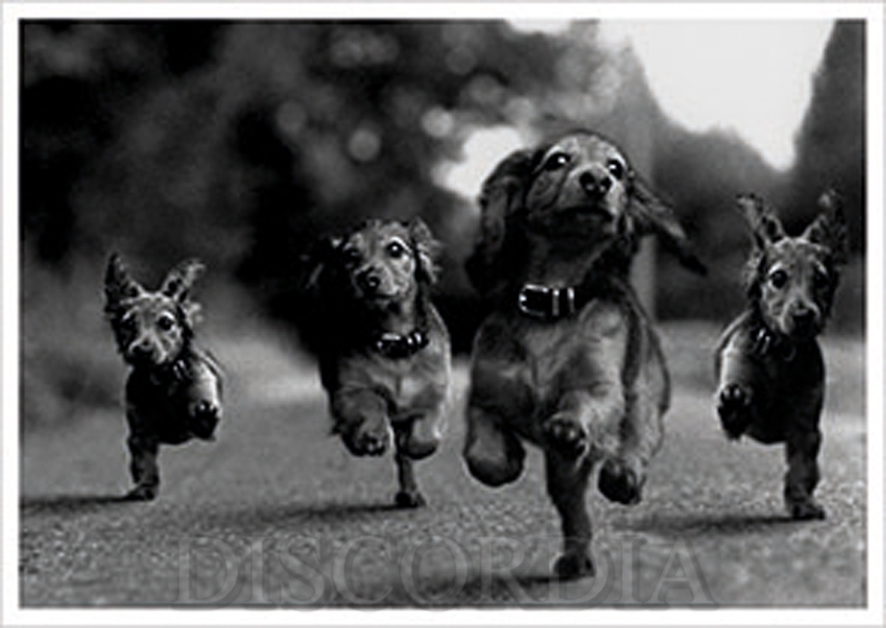 H9052_prot Postkarte H9052