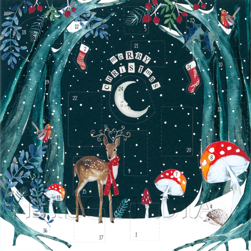 Adventskalender CSX118