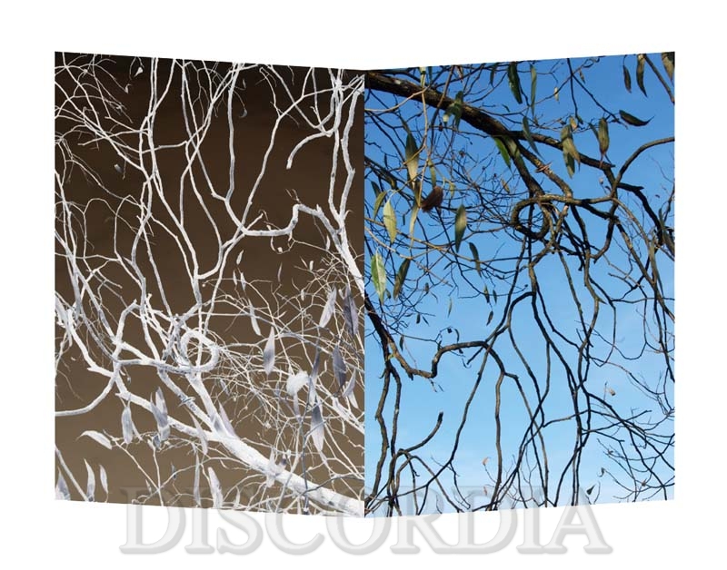 ikk009_prot Doppelkarte IKK009