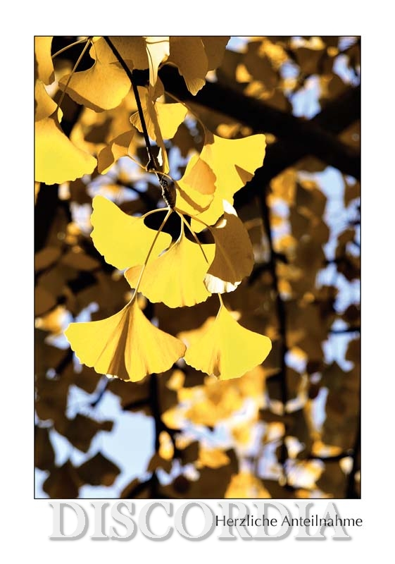 AS006 Doppelkarte AS006