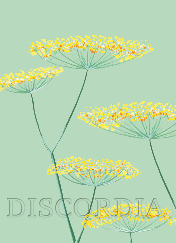 Doppelkarte SD029