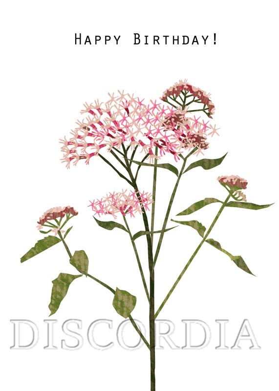 bs173 Postkarte BS173